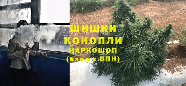 гидропоника Ростов