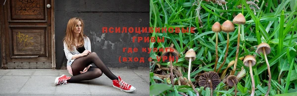 бутират Зеленокумск
