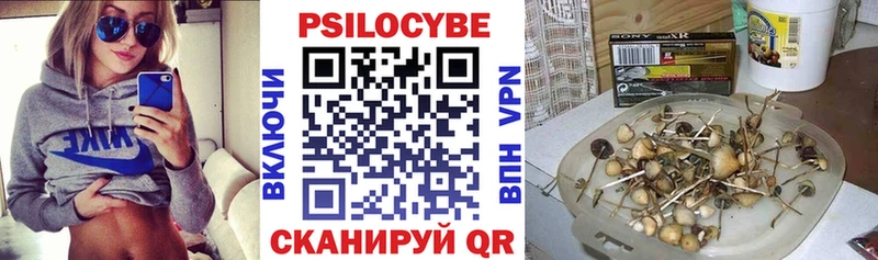 купить наркоту  Каменногорск  Галлюциногенные грибы ЛСД 