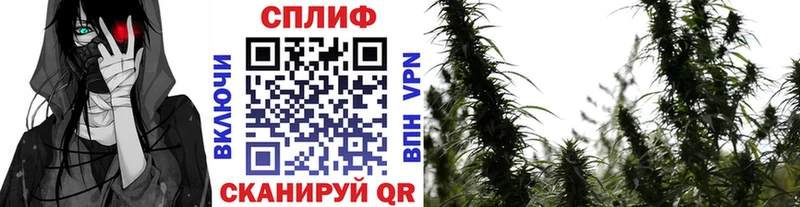 Марихуана семена  сайты даркнета формула  Каменногорск 